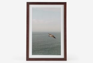 Moldura Essence intro