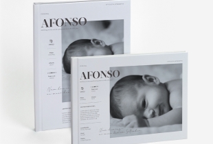 Álbum Pregnancy Journal intro